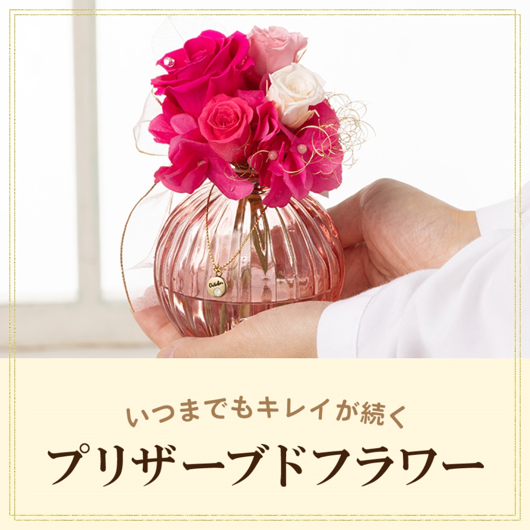 しまむらパーク | シャンブル公式オンラインストア