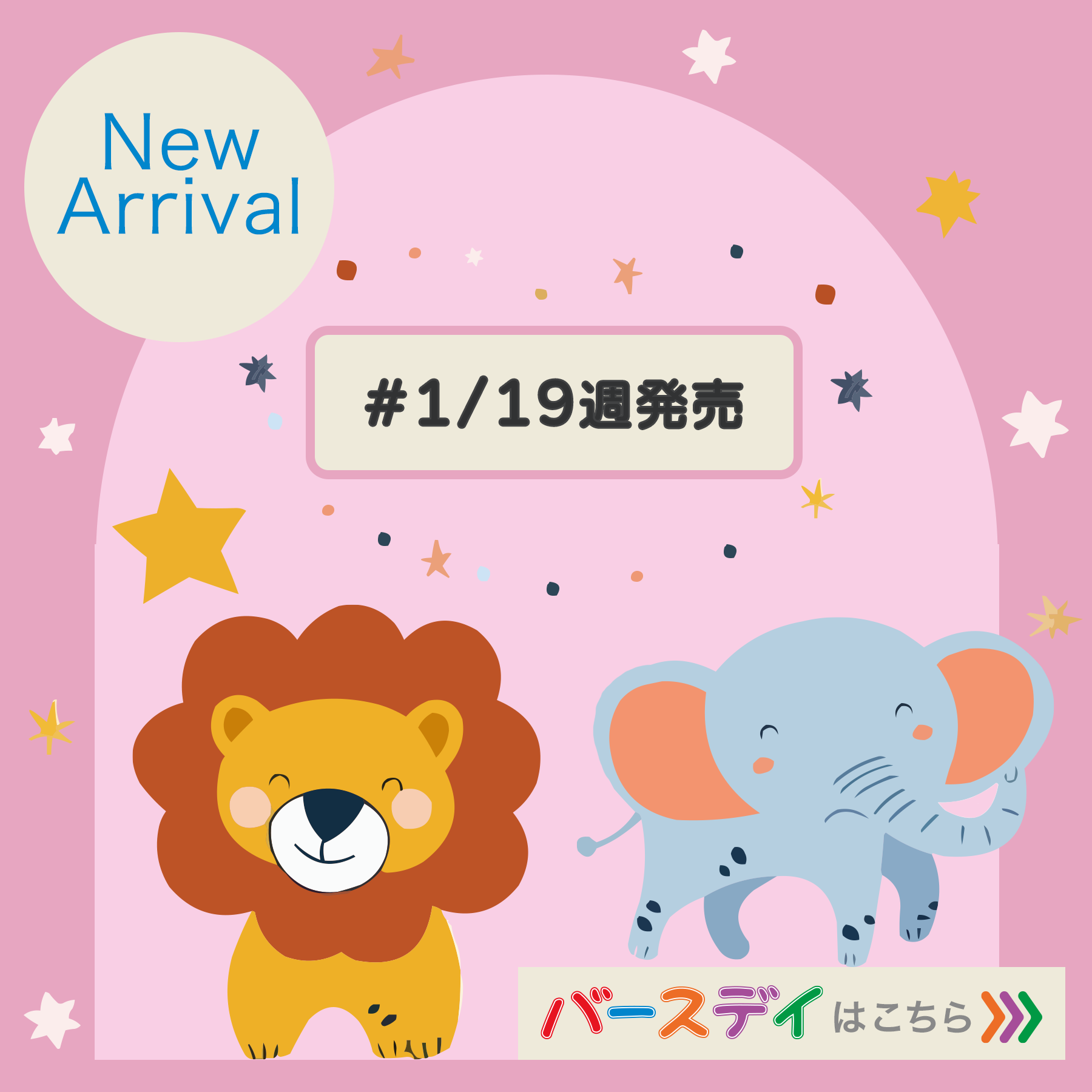 New Arrival　260119