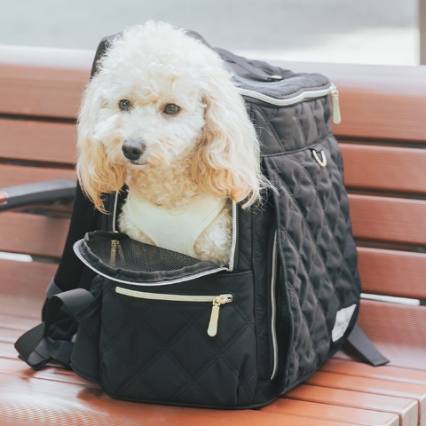 ペット用品 | しまむらパーク