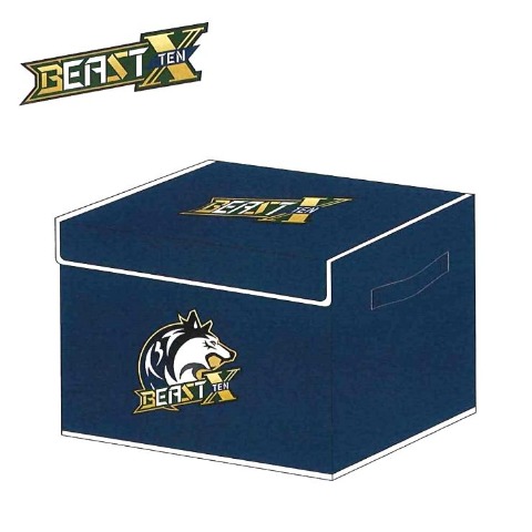 収納ボックス（BEAST X）