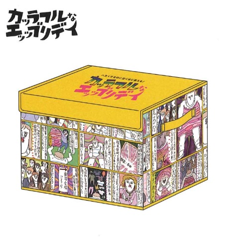 収納ボックス（カッラフルなエッッブリデイ）