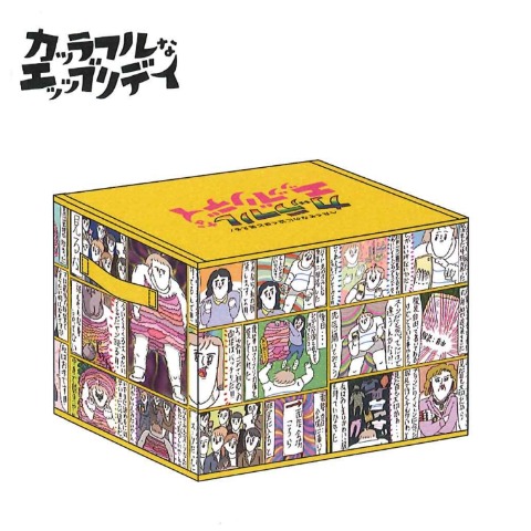 収納ボックス（カッラフルなエッッブリデイ）