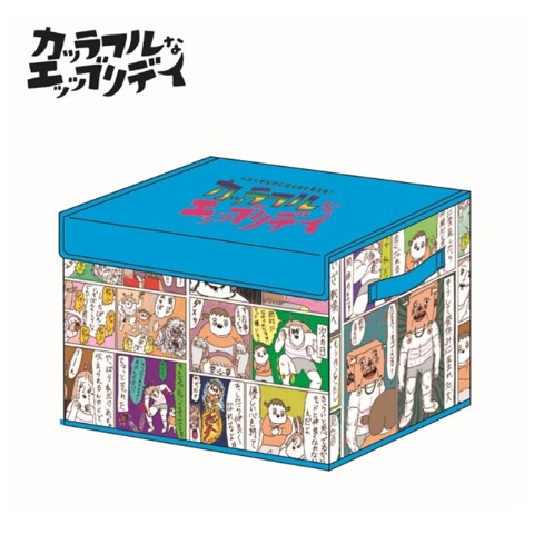 収納ボックス（カッラフルなエッッブリデイ）