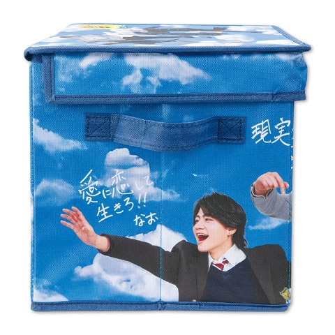 収納ボックス（リアルピース）