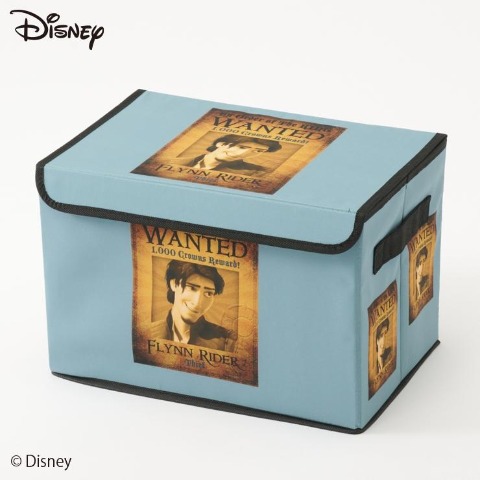 収納ボックス（塔の上のラプンツェル）