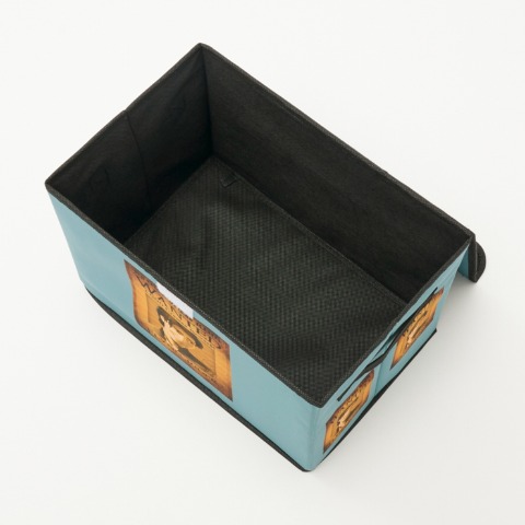 収納ボックス（塔の上のラプンツェル）