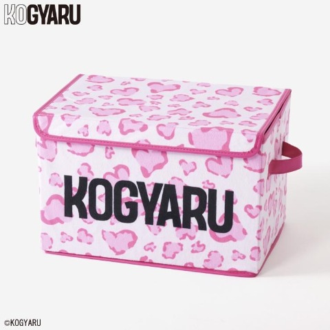 収納ボックス（KOGYARU）