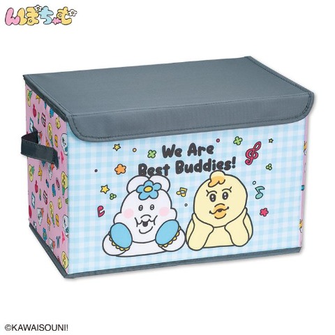 収納ボックス（んぽちゃむ）