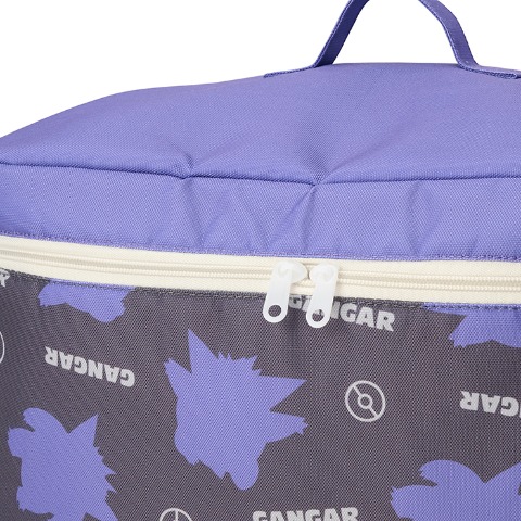 収納ケース（ポケットモンスター）