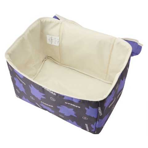 収納ケース（ポケットモンスター）