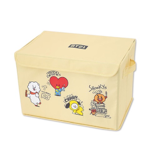 収納ボックス（BT21）