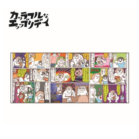 フェイスタオル（カッラフルなエッッブリデイ）