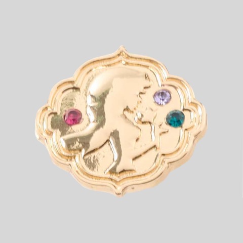 シューアクセ（アラジン）