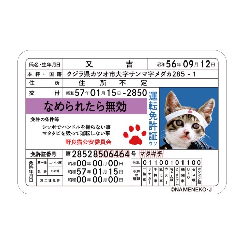 メンズ　トレーナー（なめ猫）