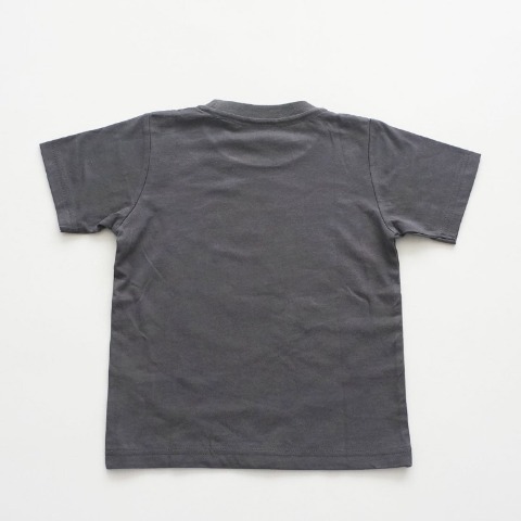 メンズ　半袖Tシャツ（阪神タイガース）