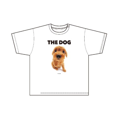 メンズ　プルオーバー（THE DOG AND FRIENDS）