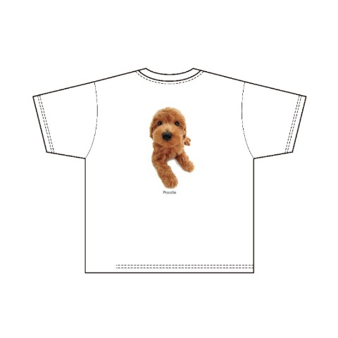 メンズ　プルオーバー（THE DOG AND FRIENDS）