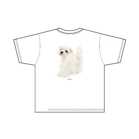 メンズ　プルオーバー（THE DOG AND FRIENDS）