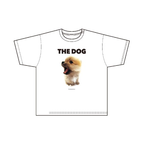 メンズ　プルオーバー（THE DOG AND FRIENDS）