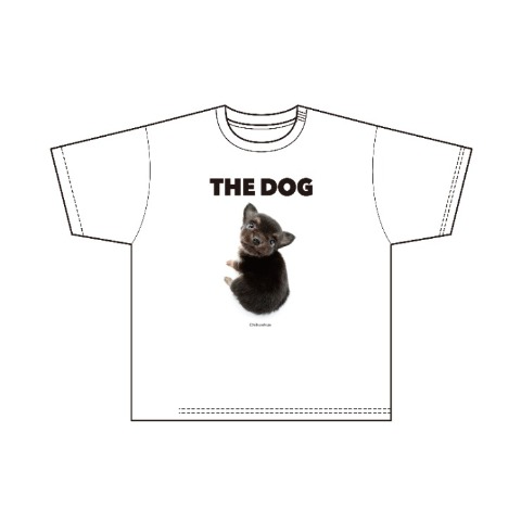 メンズ　プルオーバー（THE DOG AND FRIENDS）