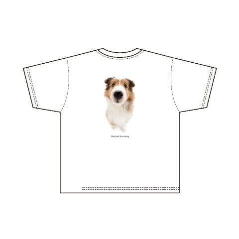 メンズ　プルオーバー（THE DOG AND FRIENDS）