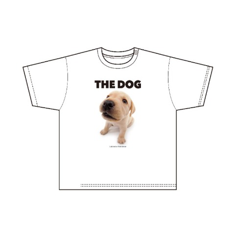 メンズ　プルオーバー（THE DOG AND FRIENDS）