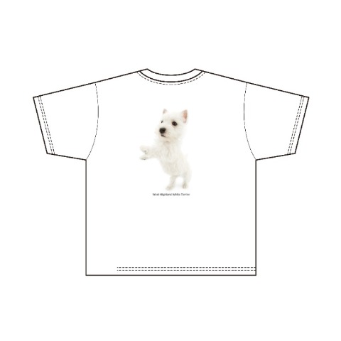 メンズ　プルオーバー（THE DOG AND FRIENDS）