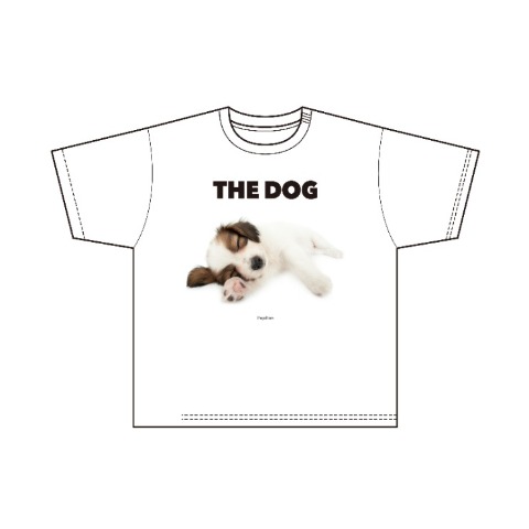 メンズ　プルオーバー（THE DOG AND FRIENDS）