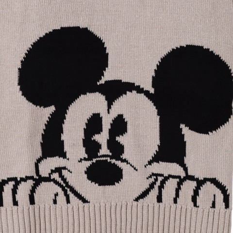 メンズ　ニット (DISNEY)
