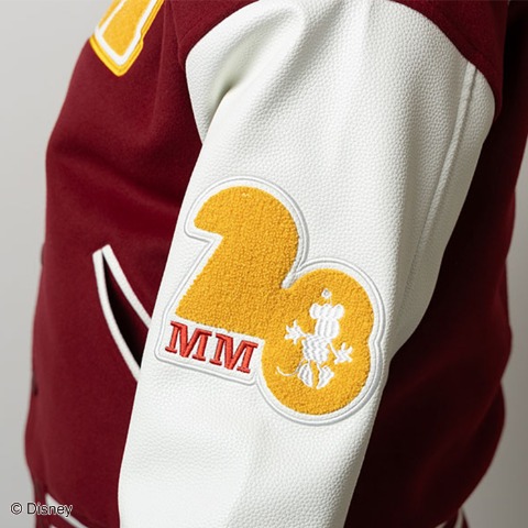 スタジャン（Disney）