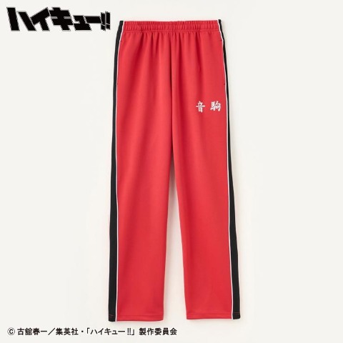 メンズ 6点セット(アニメ「ハイキュー!!」)