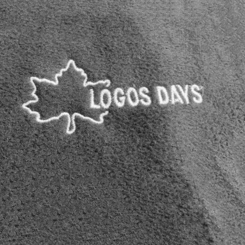 メンズ　上下組セット（LOGOS DAYS）