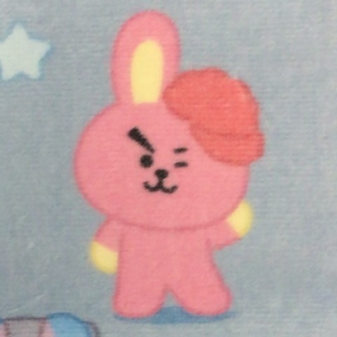 レディース　ハンカチ（ＢＴ２１）