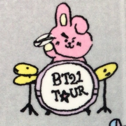 レディース　ハンカチ（ＢＴ２１）