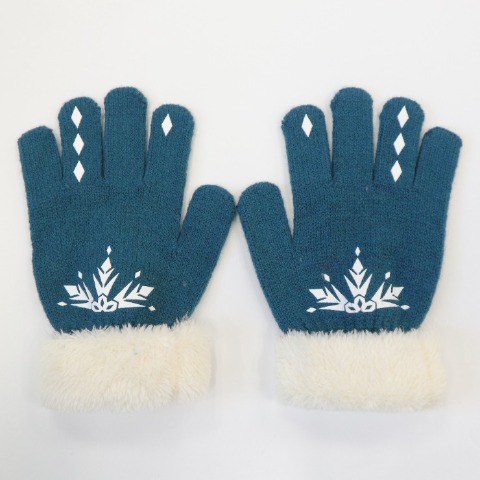 キッズ 手袋 （LITTC）