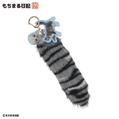 チャーム（もちまる日記）