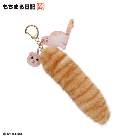 チャーム（もちまる日記）