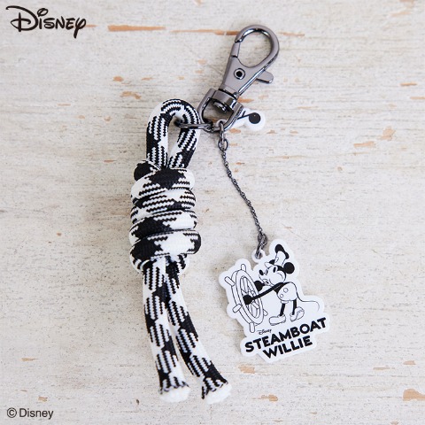 チャーム　(ディズニー)