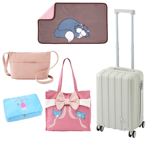 レディース　キャラクター5点セット（ちはる/Disney/シンデレラ）