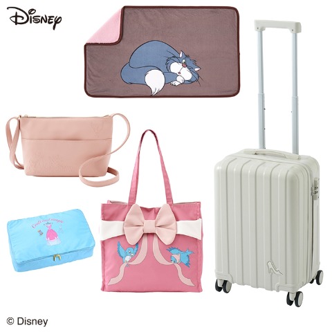 レディース　キャラクター5点セット（ちはる/Disney/シンデレラ）