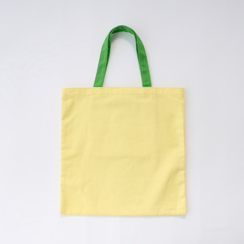 レディーストートバック（LITTC）