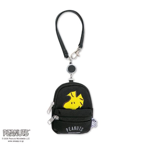 レディース　パスケース（PEANUTS）