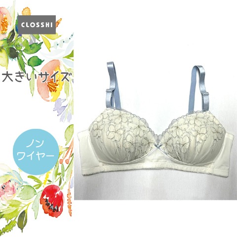 レディース ノンワイヤーブラジャー（３L～６L）