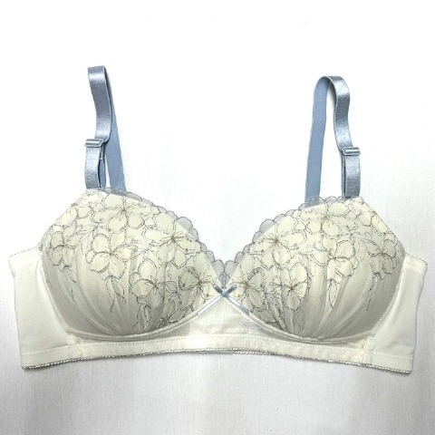 レディース ノンワイヤーブラジャー（３L～６L）