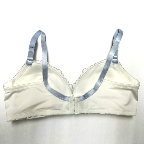 レディース ノンワイヤーブラジャー（３L～６L）