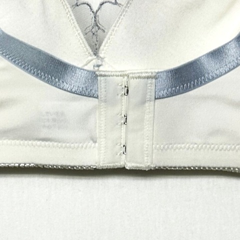 レディース ノンワイヤーブラジャー（３L～６L）