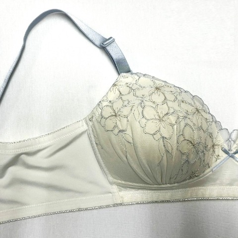 レディース ノンワイヤーブラジャー（３L～６L）