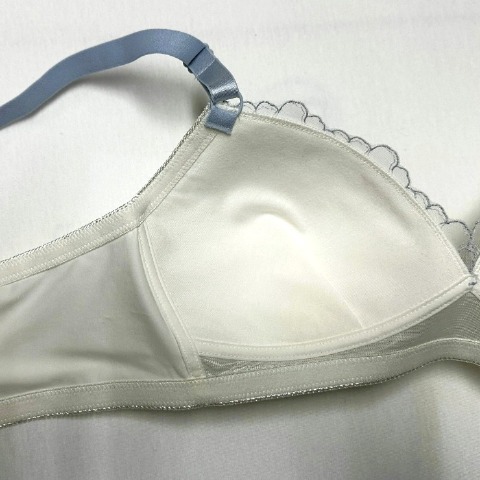 レディース ノンワイヤーブラジャー（３L～６L）