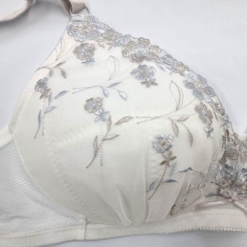 レディース ノンワイヤーブラジャー（３L～６L）
