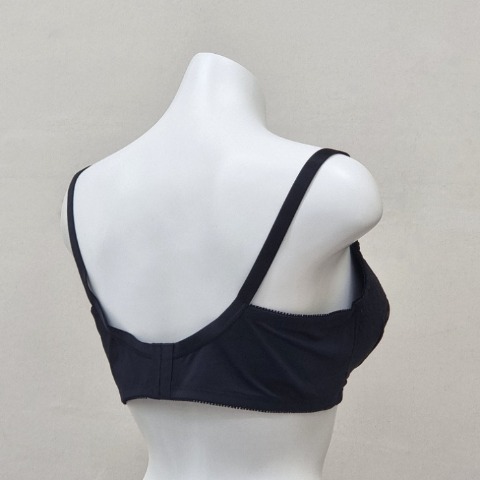レディース ノンワイヤーブラジャー（３L～６L）